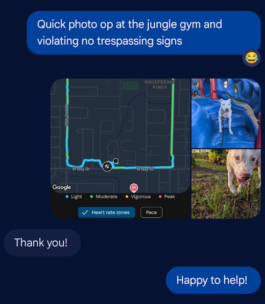 Real GPS walk report showing route map and heart rate zones