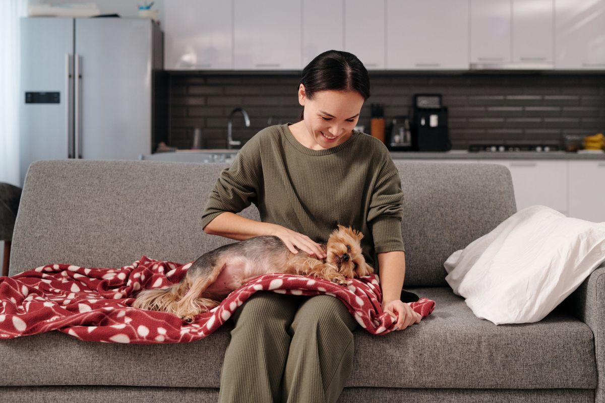 A woman petting a small dog on a cozy couch — Photo from Pexels