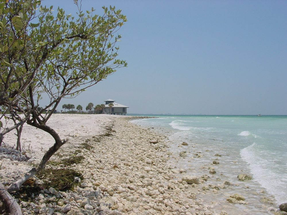 Honeymoon Island State Park, Florida
