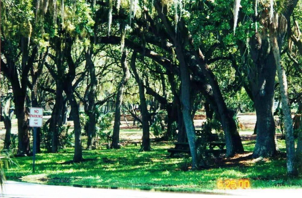 Philippe Park in Safety Harbor, Florida