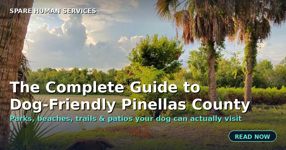 The Complete Guide to Dog-Friendly Places in Pinellas County