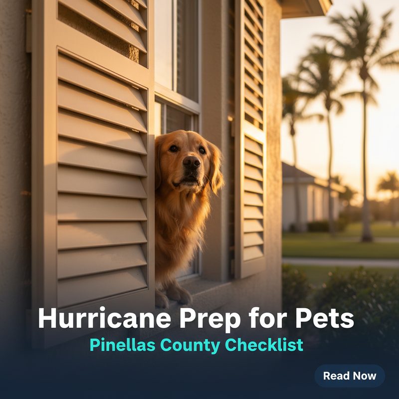 Hurricane prep